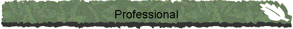 Professional