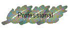 Professional